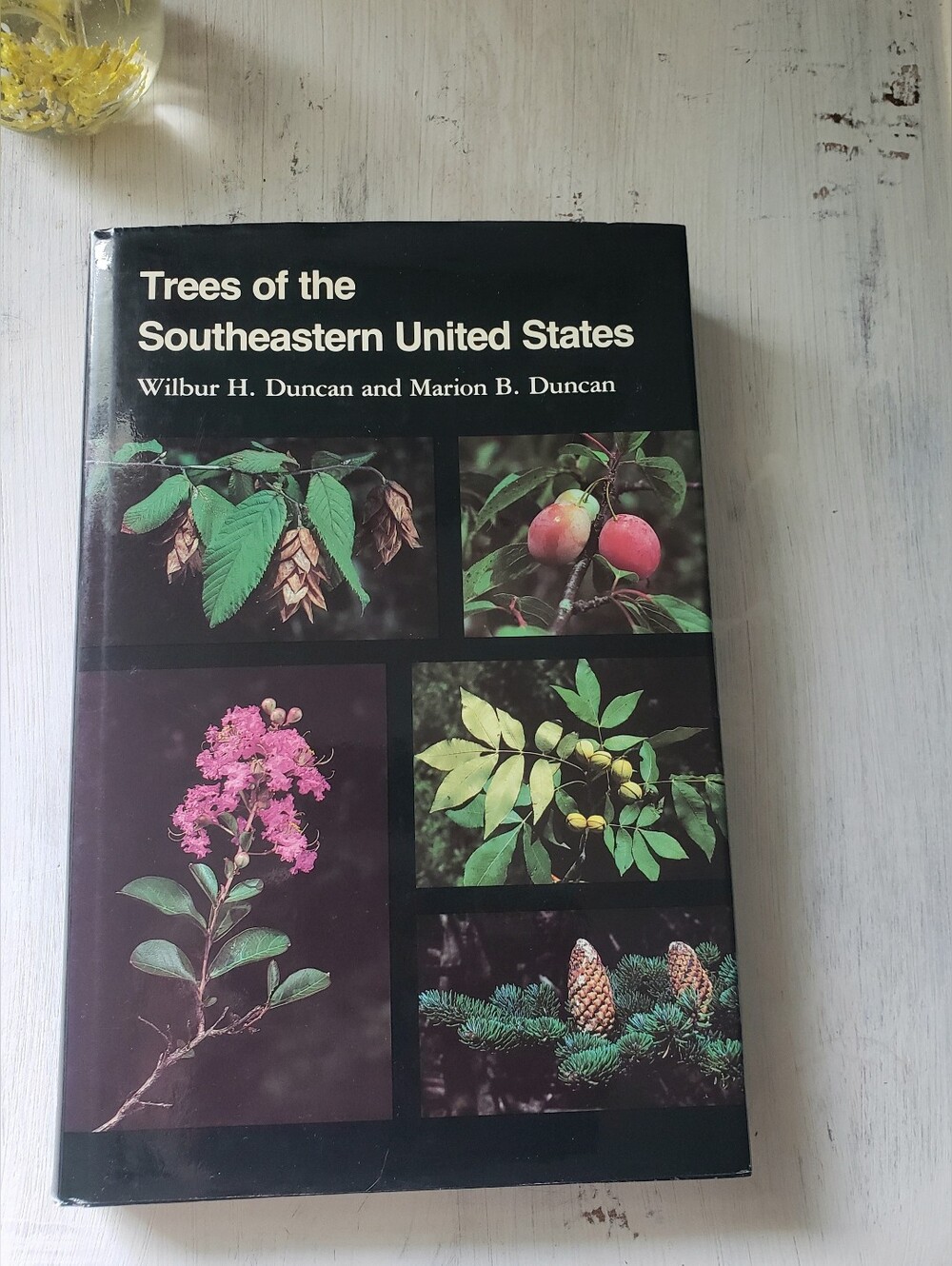 Trees of the Southeastern United States Field Guide - Wilbur & Marion Duncan